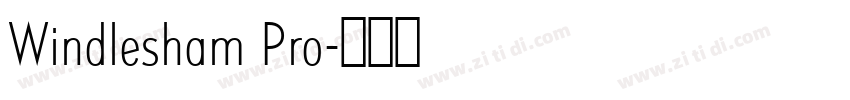 Windlesham Pro字体转换